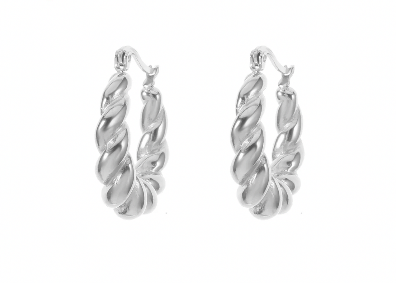 Oorbellen ringen zilver